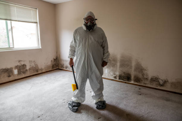 Best Mold Remediation for Specific Building Types in Wheeler, TX